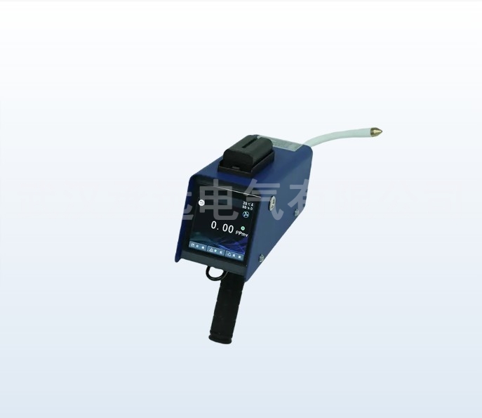 CYDQ-605SF6气体定量检漏仪